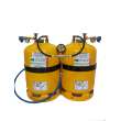 Kit double réservoirs Homegaz Gold