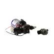 Pompe 2095 12 V