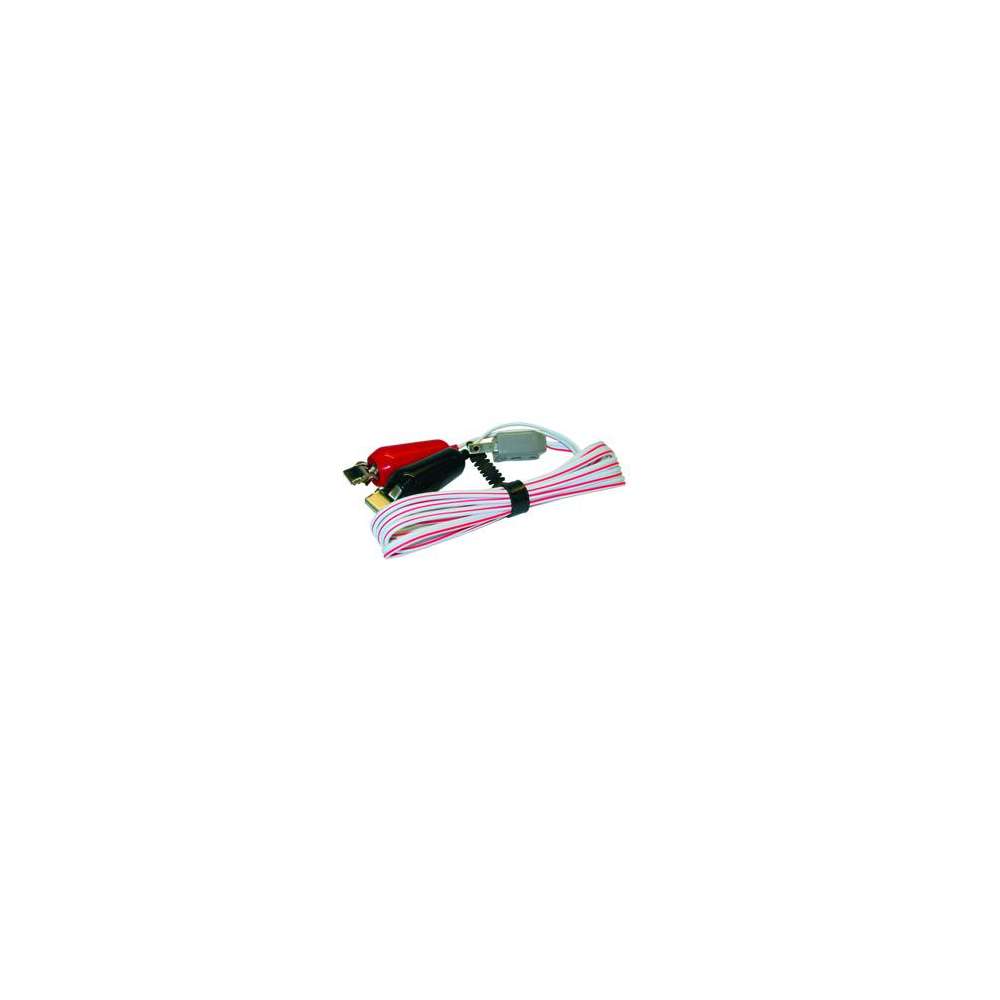Cordon de charge 12 V