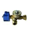 Faisceau Homegaz Light Gold