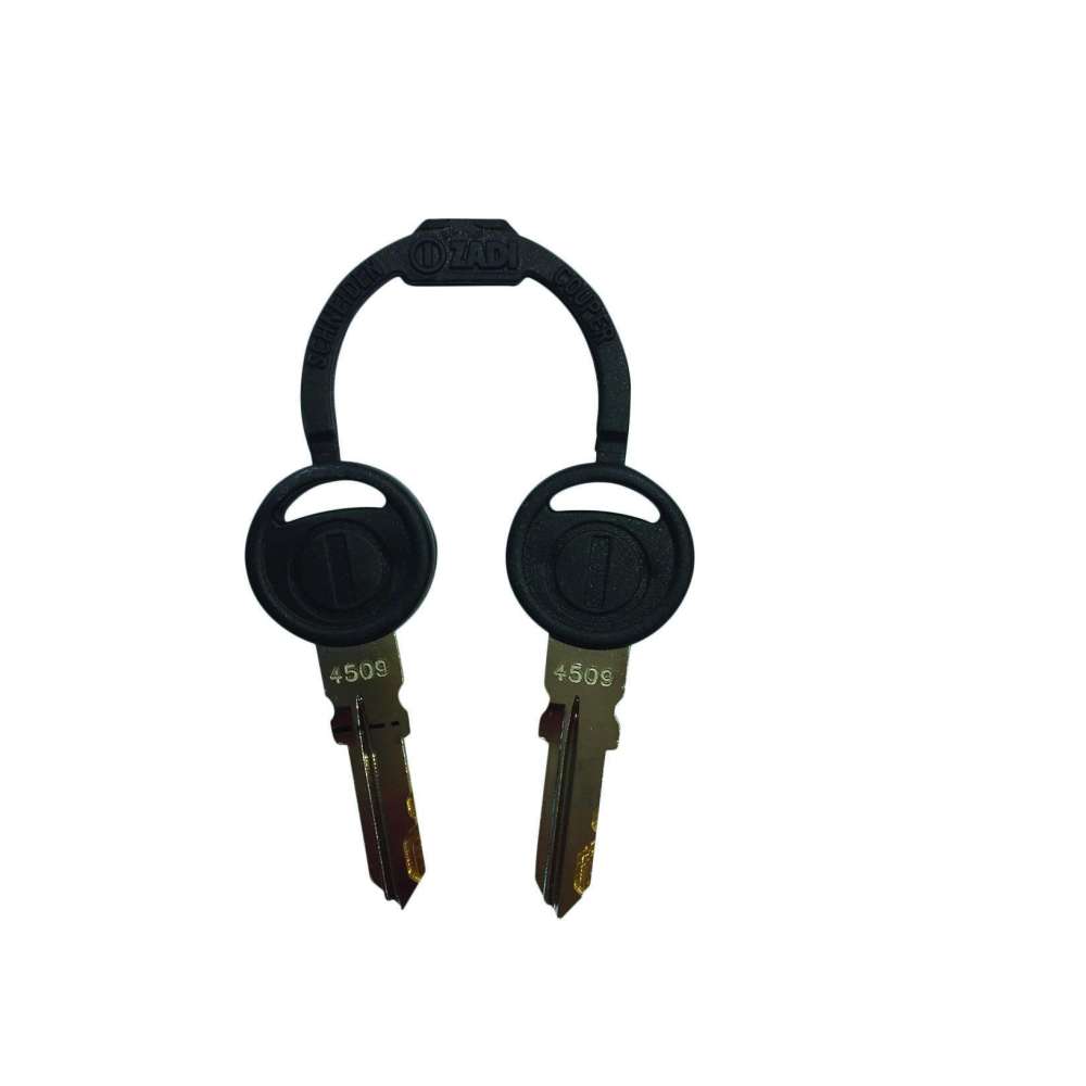 Jeu de 2 clés haute sécurité