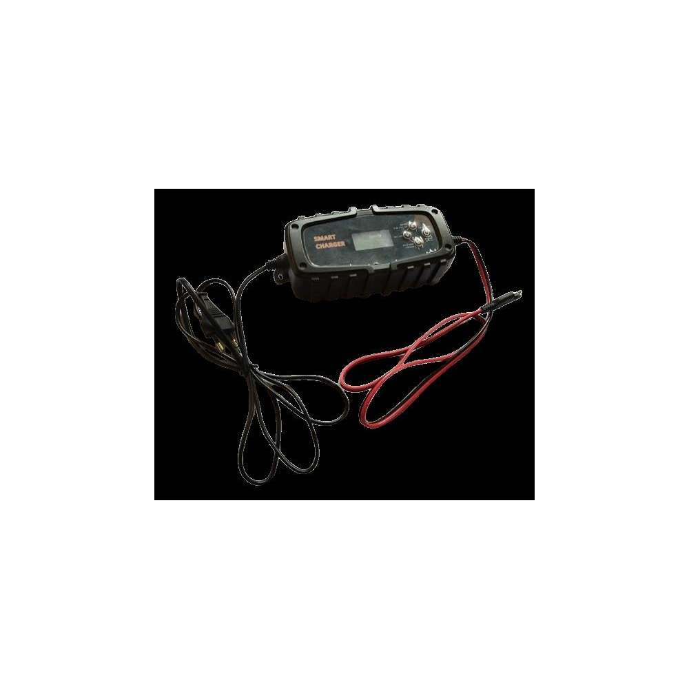 Chargeur de batterie 12V