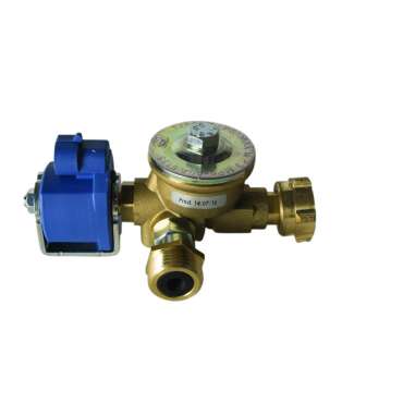 Faisceau Homegaz Light Gold