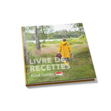 Livre de recettes pour four pour cuisinière à gaz