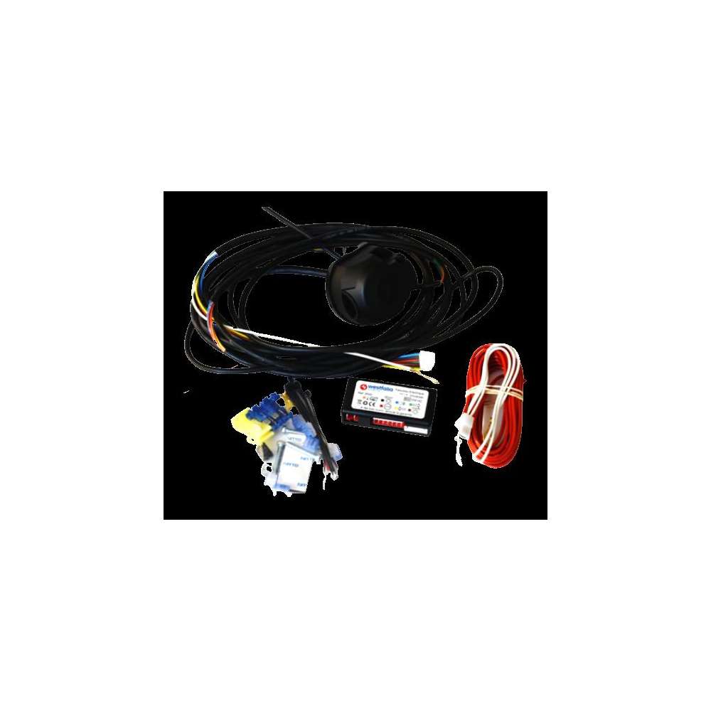 Faisceau spécifique 13 broches